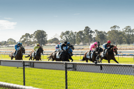 A Day at the Races 2024 Photo